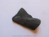 dent de requin: EDESTUS HEINRICHI (4)