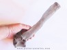 Bison antiquus vertebrae (3)