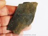 branchiosaure (protriton) petrolei  (5)
