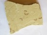 CARPOPENAEUS CALLIROSTRIS and worm annelid (8)