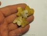 shark teeth (set of 5): SQUALICORAX PRISTODONTUS (1)