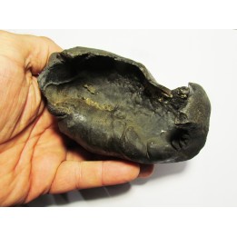 whale earbone (6)