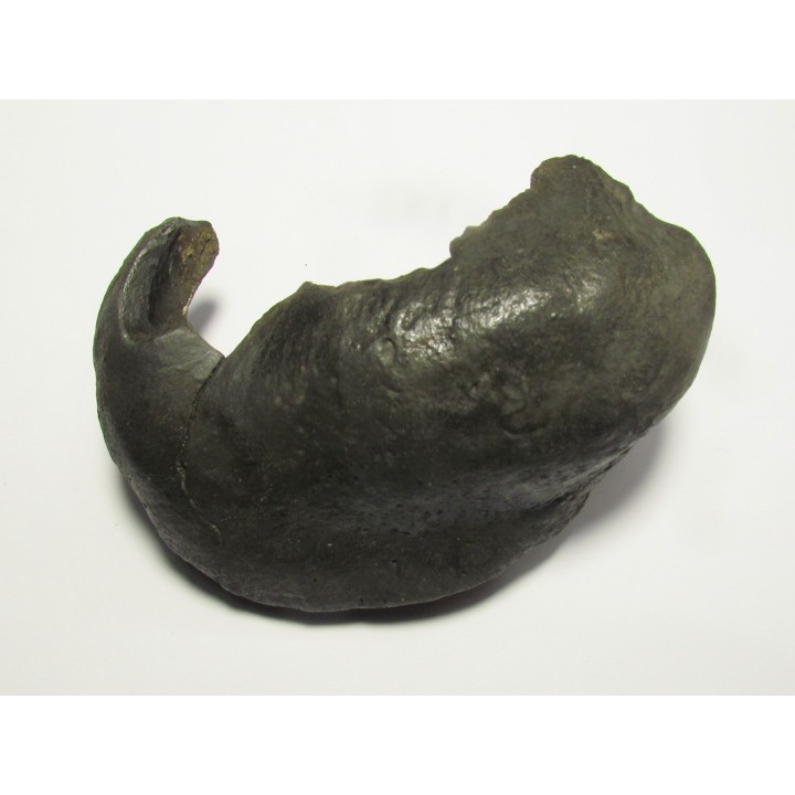whale earbone (6)