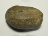whale earbone (7)