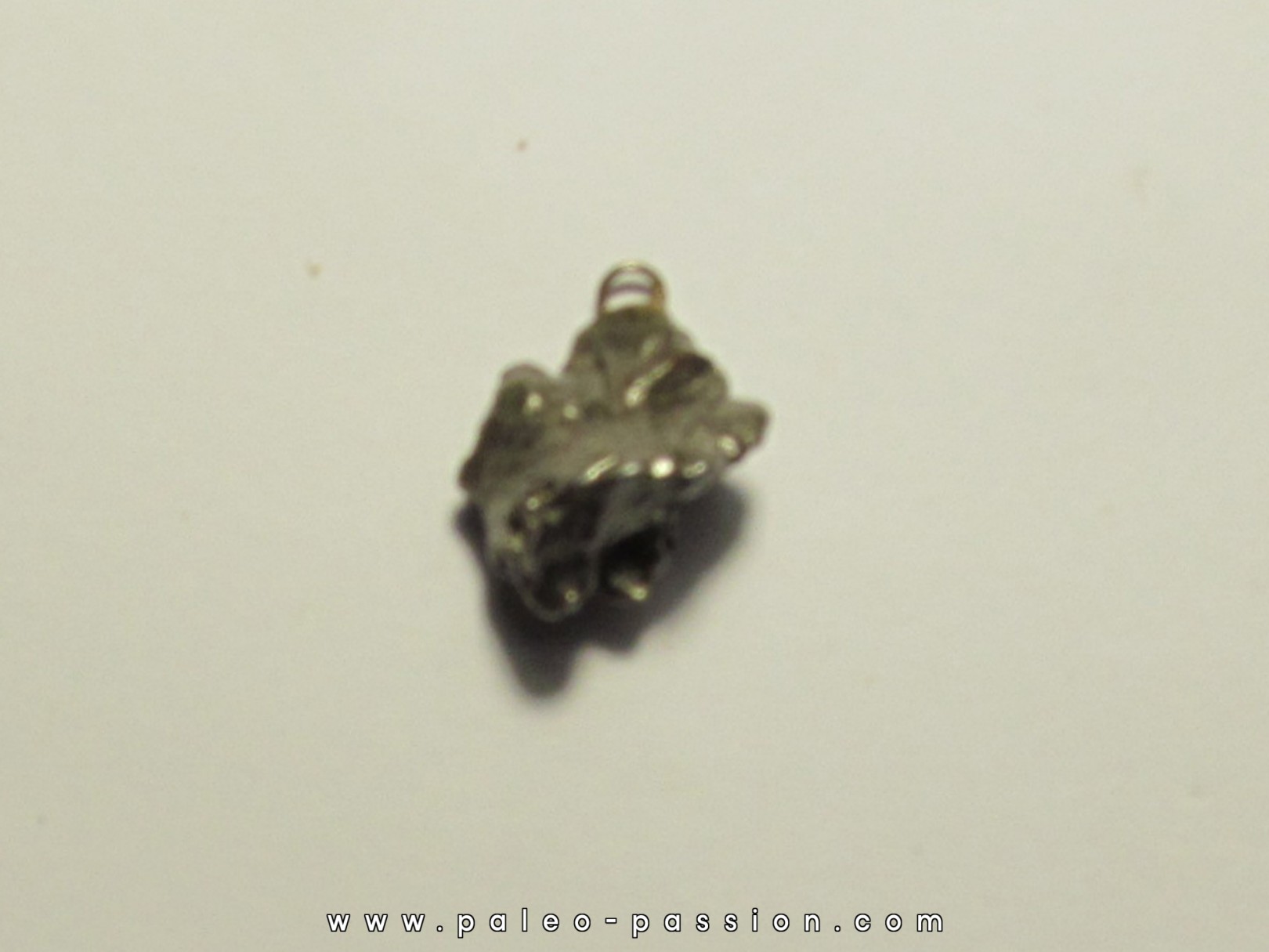 METEORITE (PENDENTIF) Campo del Cielo (8)