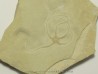 OPHUIRE: sinosura kelheimense (1)