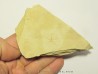 OPHUIRE: sinosura kelheimense (3)