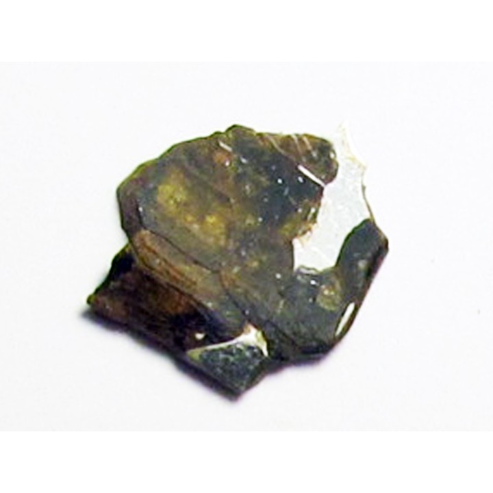 METEORITE pallasite seymcham (4)