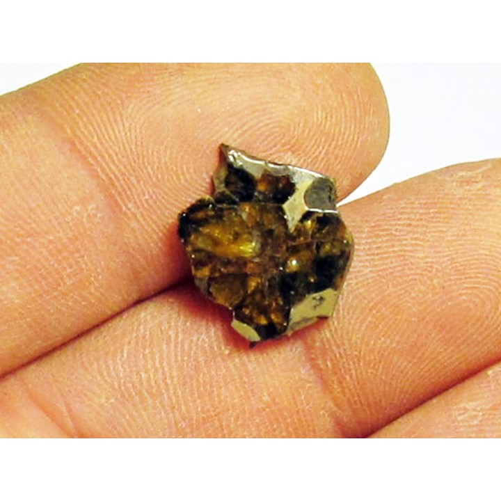 METEORITE pallasite seymcham (4)
