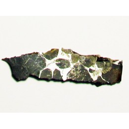 METEORITE pallasite seymcham (4)