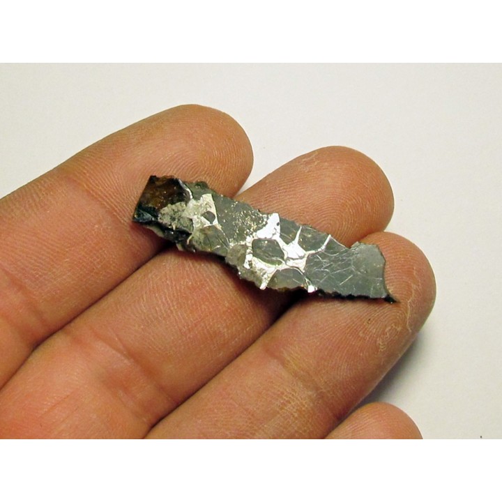 METEORITE pallasite seymcham (4)