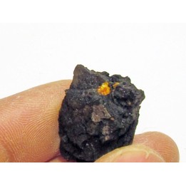 bois fossile avec inclusion d AMBRE (1)