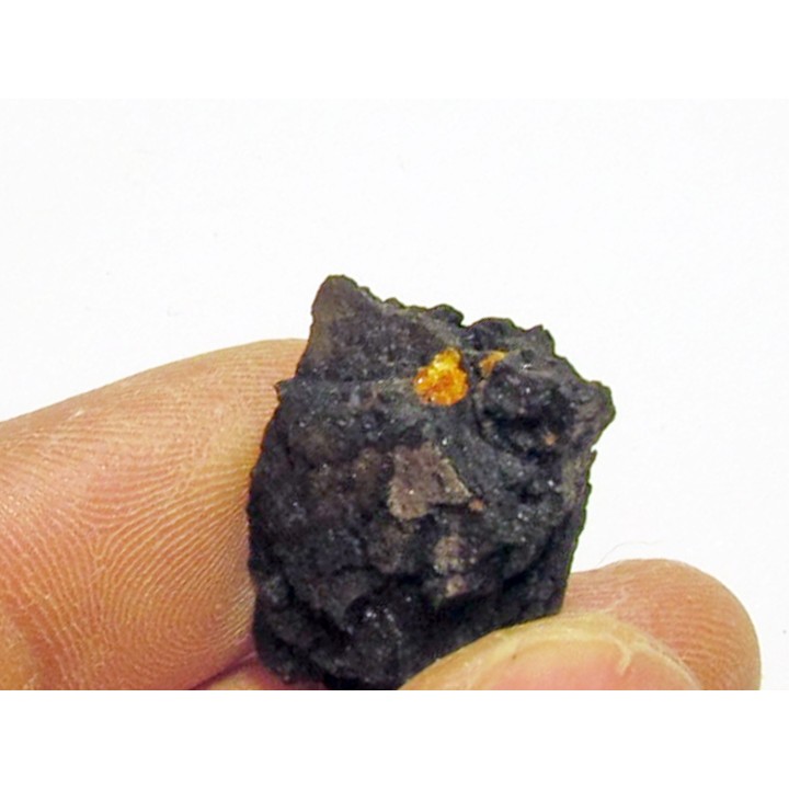 wood with amber inclusion (1)