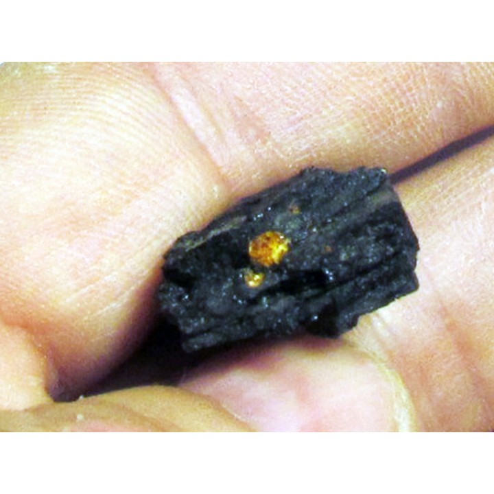 wood with amber inclusion (1)