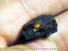 bois fossile avec inclusion d AMBRE (1)