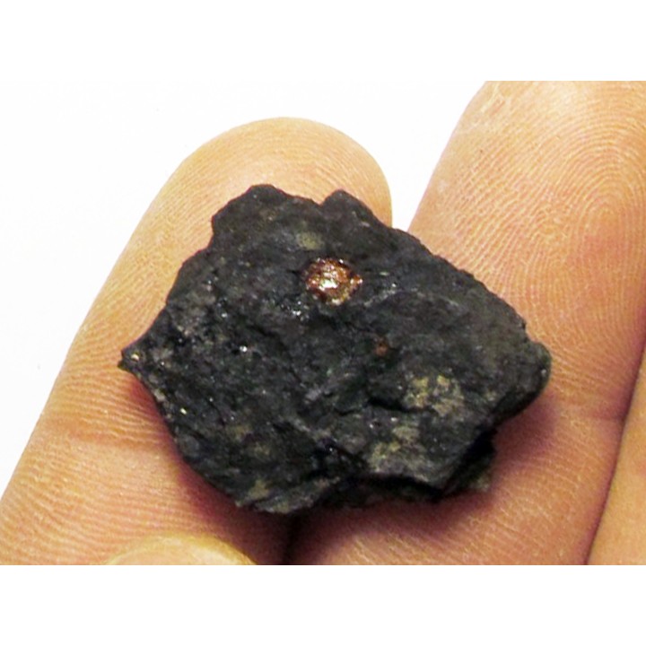 wood with amber inclusion (2)