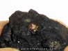 bois fossile avec inclusion d AMBRE (2)