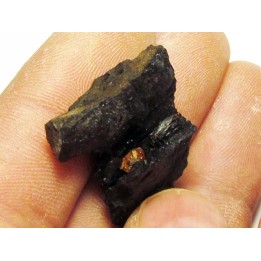 wood with amber inclusion (3)