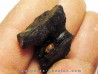 bois fossile avec inclusion d AMBRE (3)