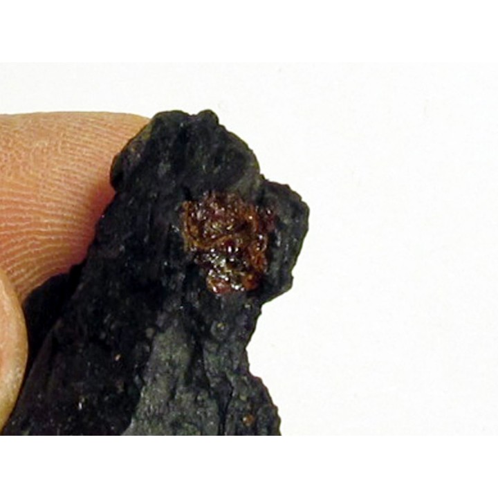 wood with amber inclusion (4)