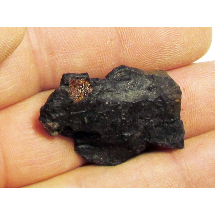 wood with amber inclusion (4)