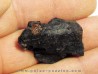 bois fossile avec inclusion d AMBRE (4)