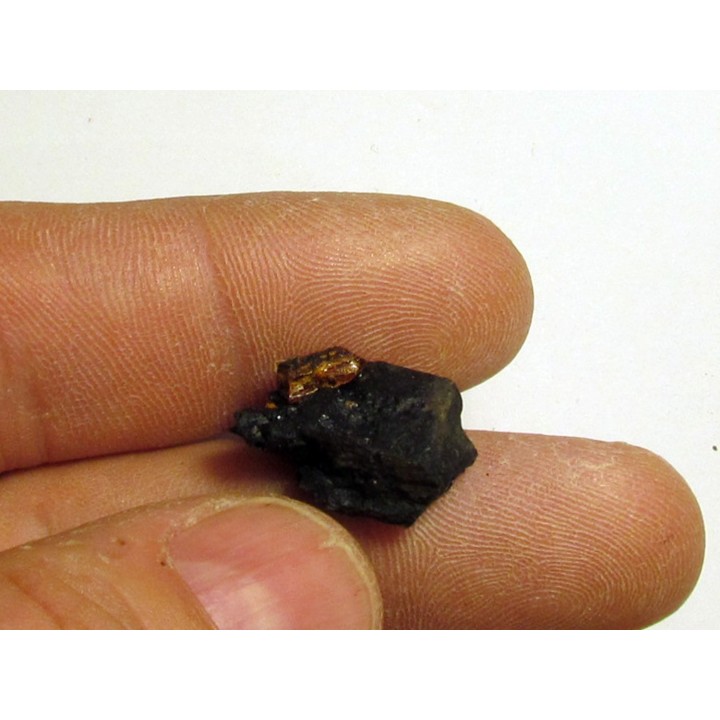 bois fossile avec inclusion d AMBRE (6)