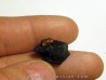 bois fossile avec inclusion d AMBRE (6)