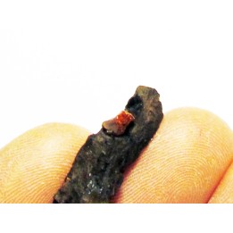 wood with amber inclusion (8)