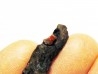 bois fossile avec inclusion d AMBRE (8)