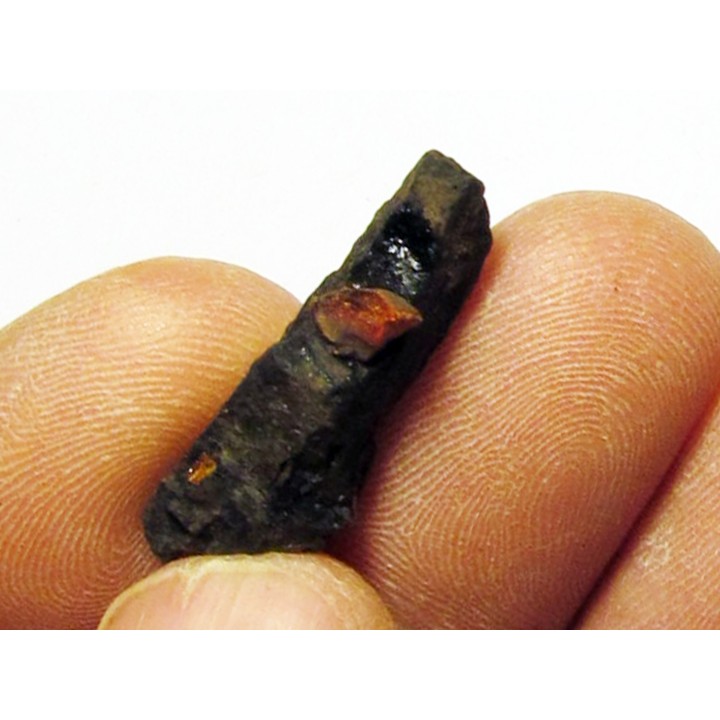 wood with amber inclusion (8)