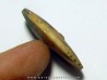 PSEUDOSAGECERAS MULTILOBATUM (2)