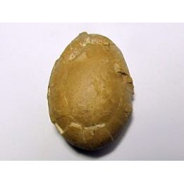 OEUF d'oiseau indeterminé - oligocene - badland