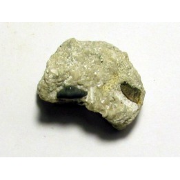 primitive shark tooth ORODUS sp. (3)