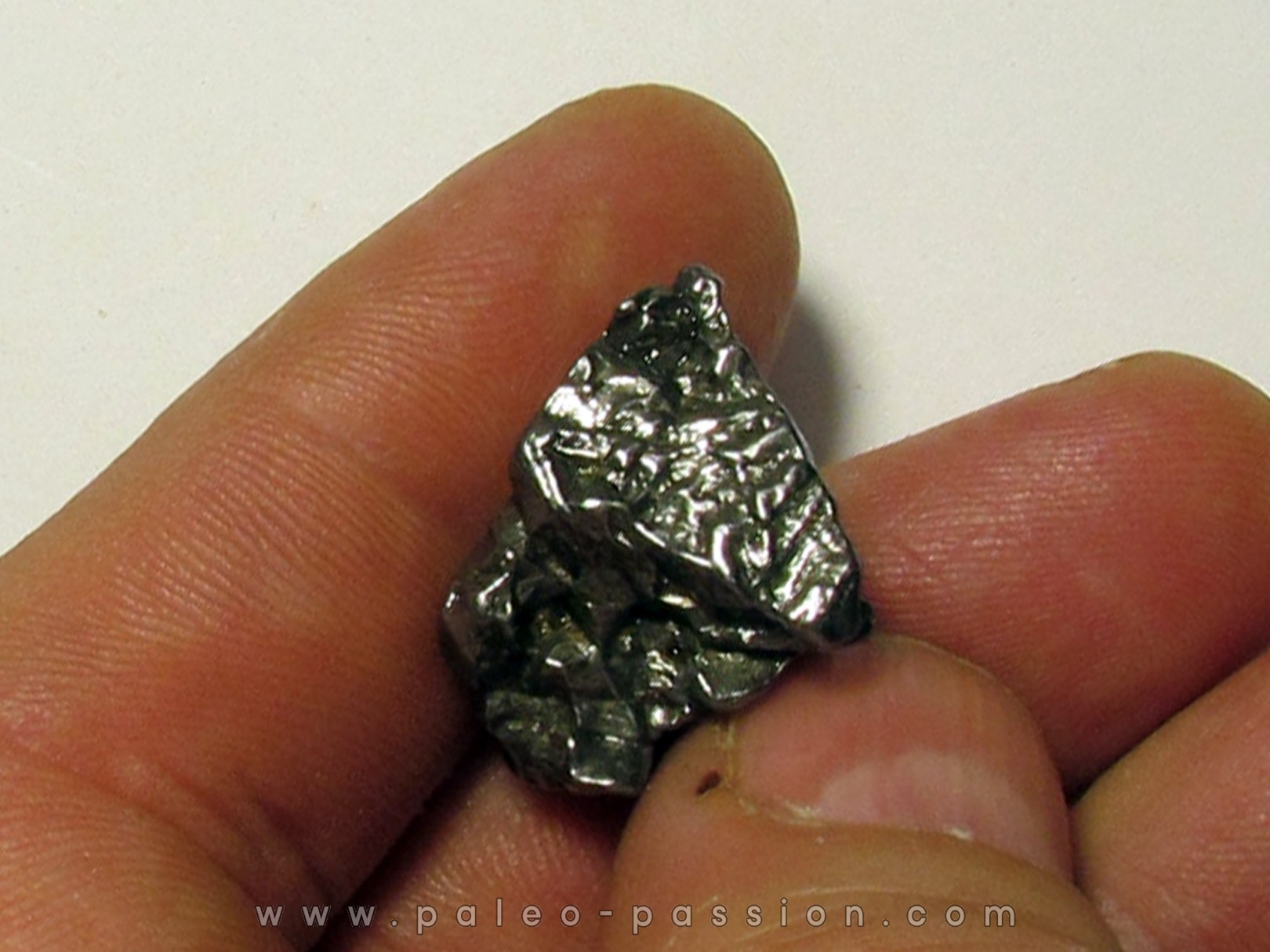 METEORITE Campo del Cielo (CDC8)
