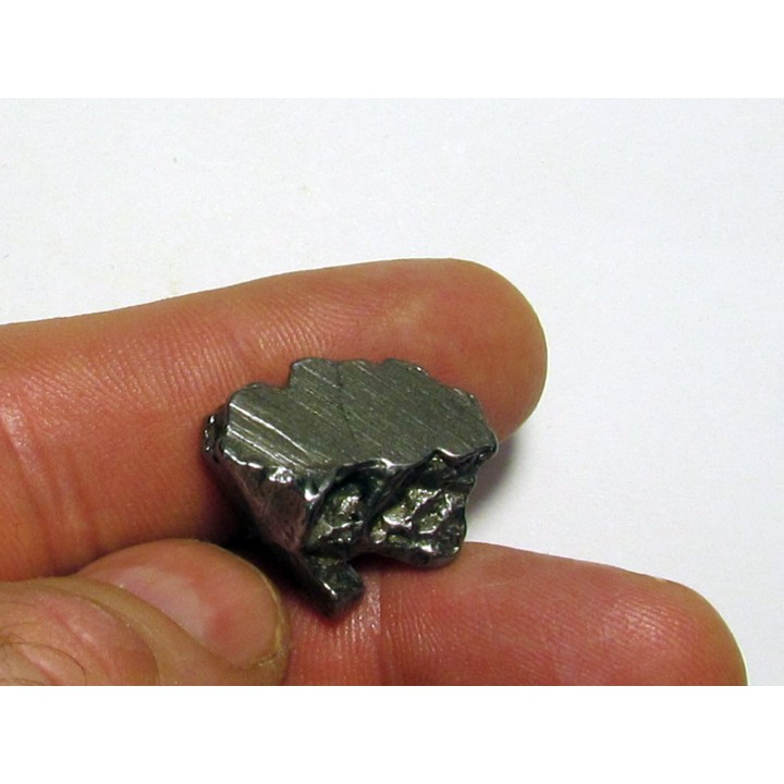 METEORITE  Campo del Cielo (CDC8) 