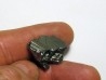 METEORITE Campo del Cielo (CDC8)
