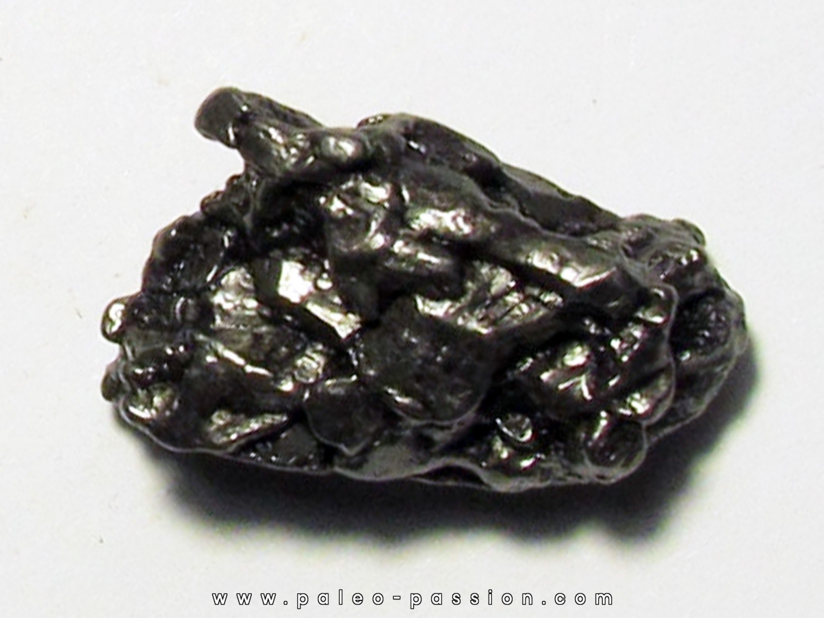 METEORITE Campo del Cielo (CDC15)