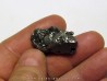 METEORITE Campo del Cielo (CDC15)