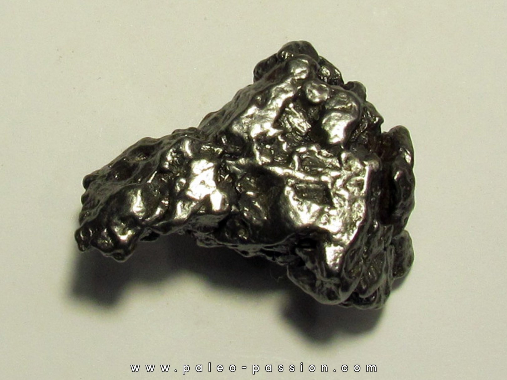 METEORITE Campo del Cielo (CDC17)