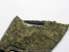 CHOMATODUS INSIGNIS