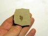 cardiospermum coloradensis (3)