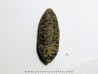 POMME DE PIN "Equicalastrobus" (7)