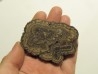 STROMATOLITES Chihuahua MEXIQUE (2)