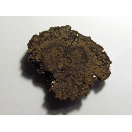 STROMATOLITES Chihuahua MEXIQUE (5)