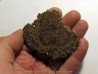 STROMATOLITES Chihuahua MEXIQUE (5)