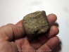 MOSASAURE  Vertebrae (texas - USA) (4)