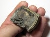 MOSASAURE  Vertebrae (texas - USA) (6)