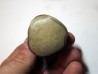 Vertebre DE MOSASAURE (texas - USA) (6)