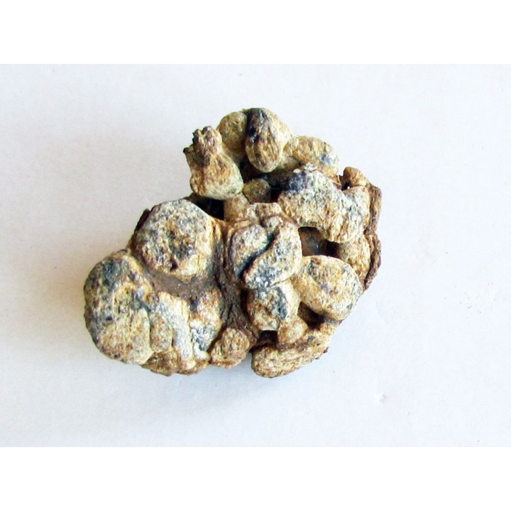 METEORITE pallasite SERICHO (1)